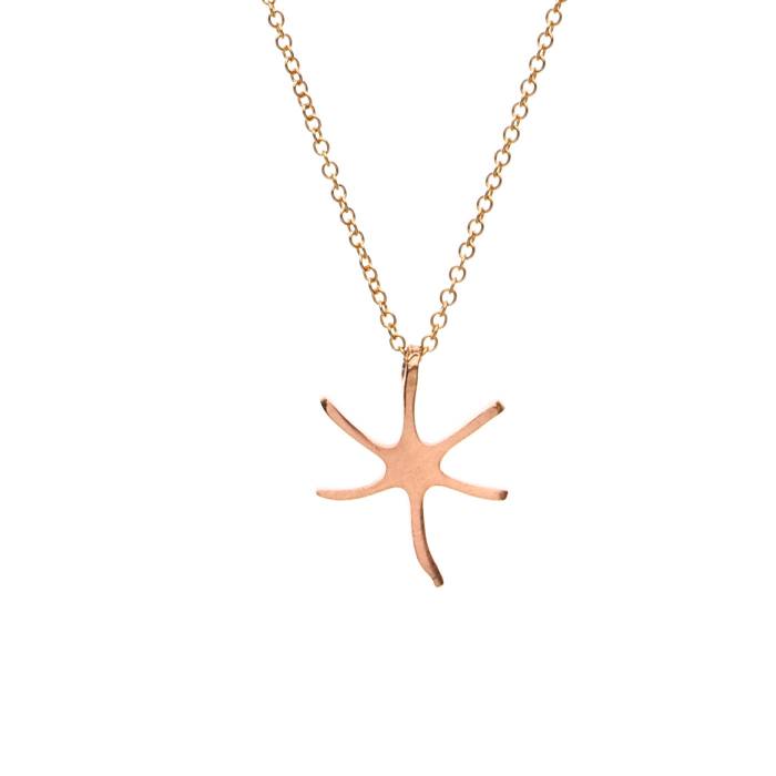 STAR FISH | APRIATI.COM